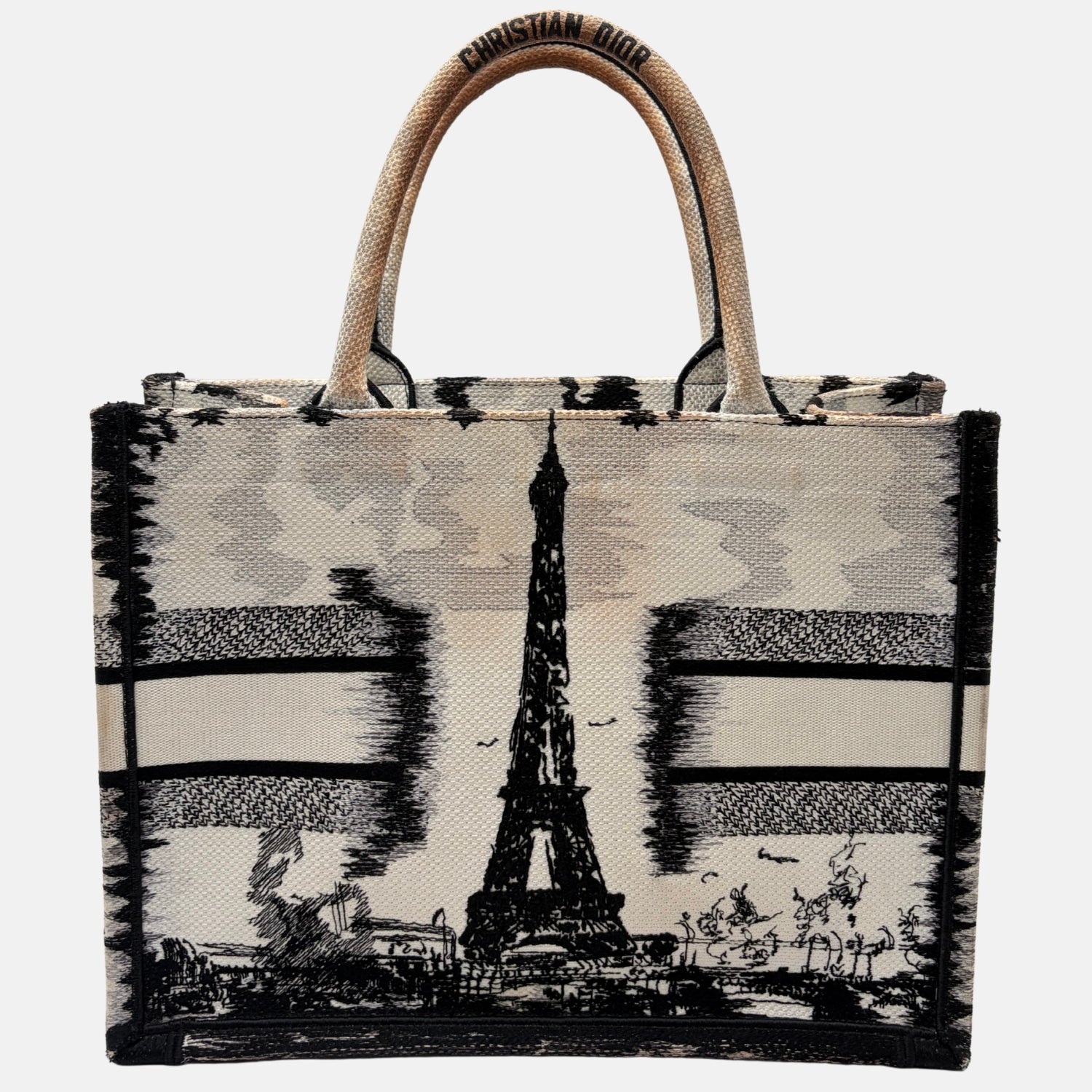 Book Tote Medium Paris Embroidered Canvas