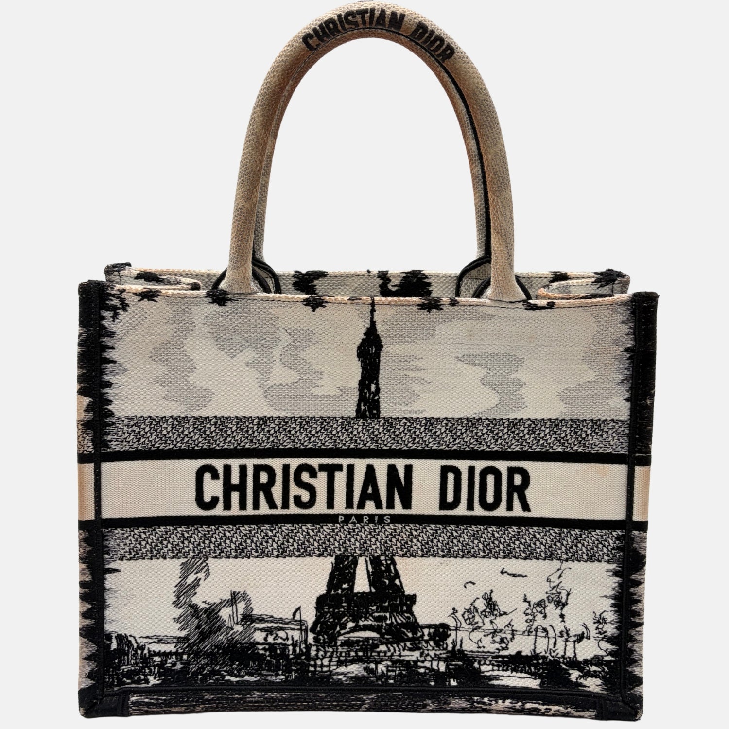 Book Tote Medium Paris Embroidered Canvas