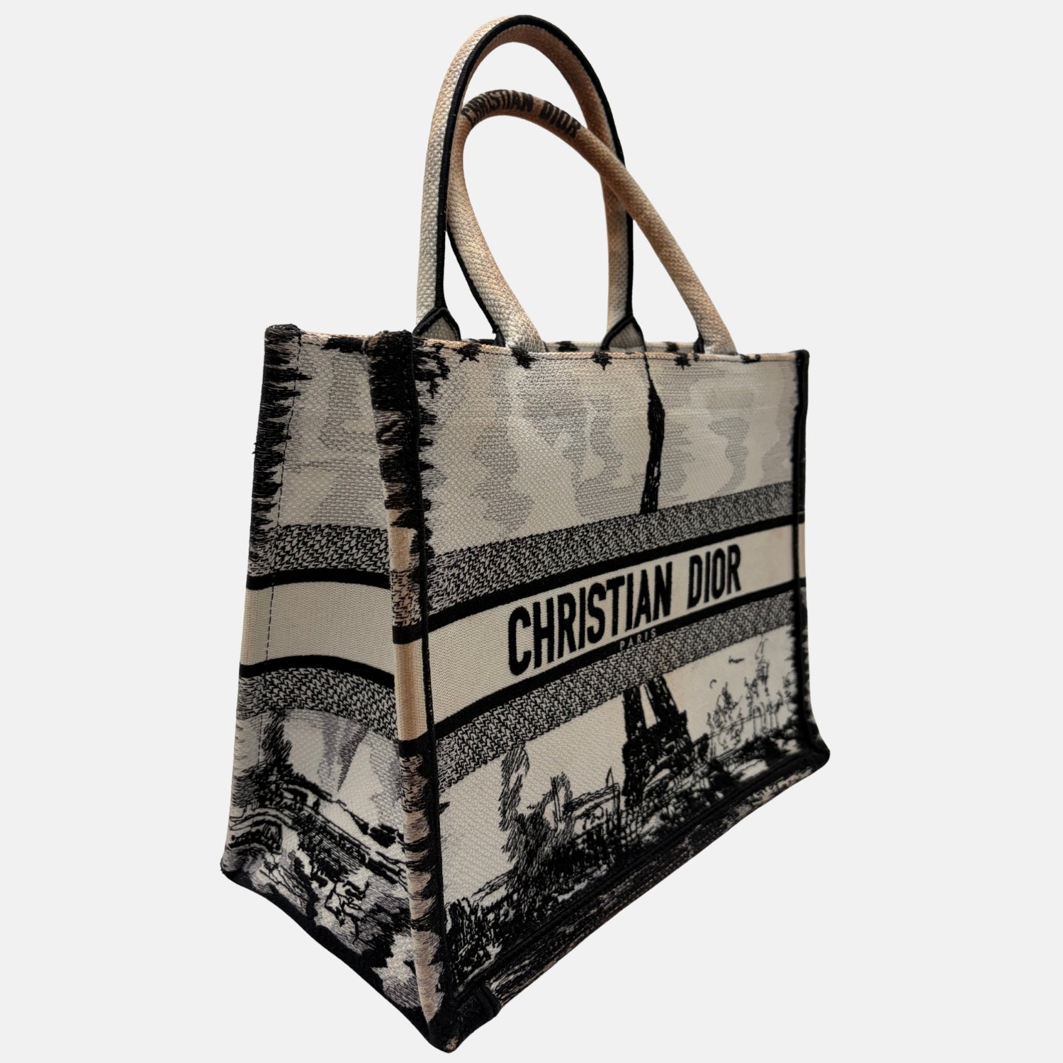 Book Tote Medium Paris Embroidered Canvas