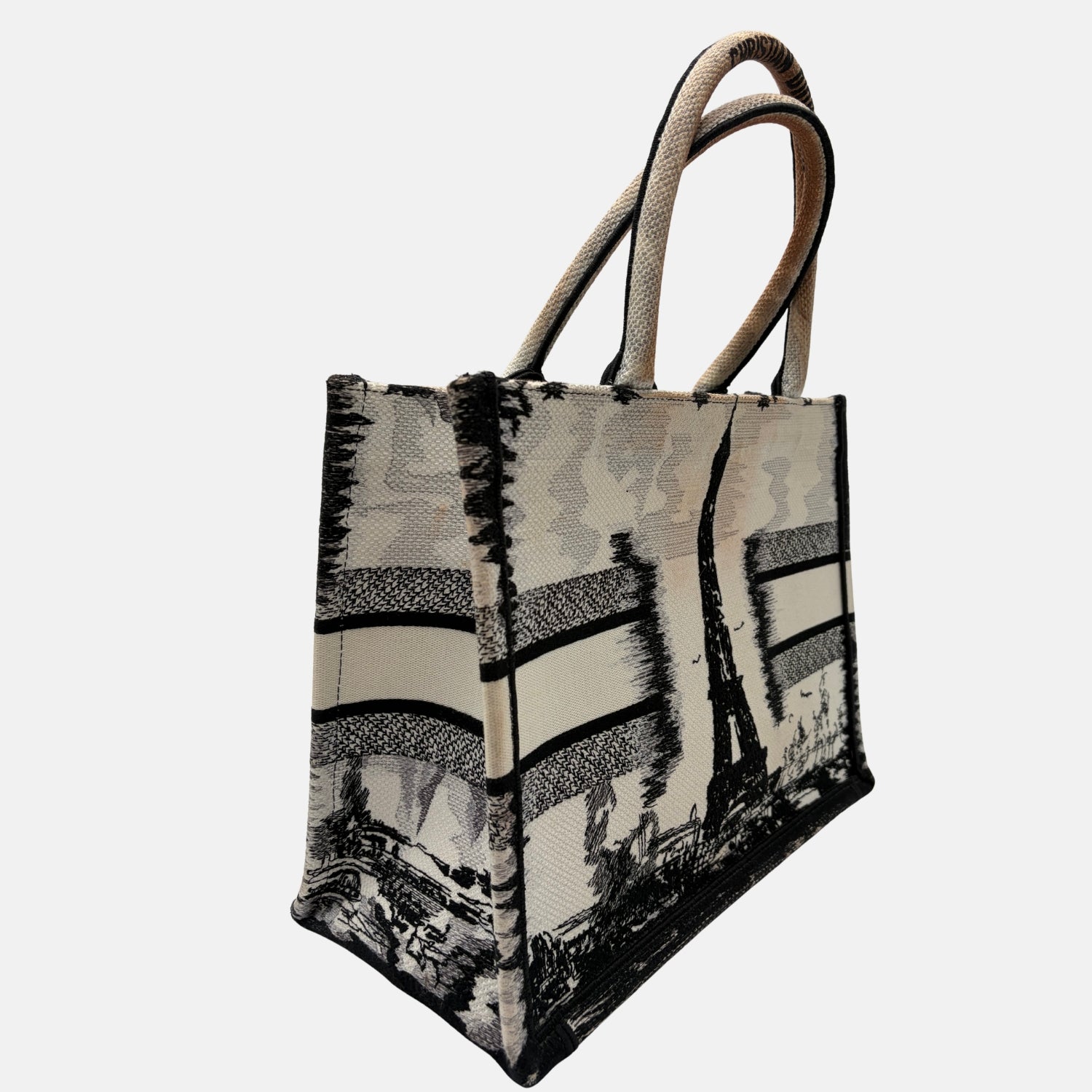 Book Tote Medium Paris Embroidered Canvas